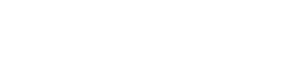TikTok Partner